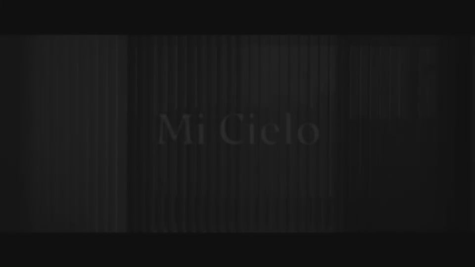 動画を読み込む: 